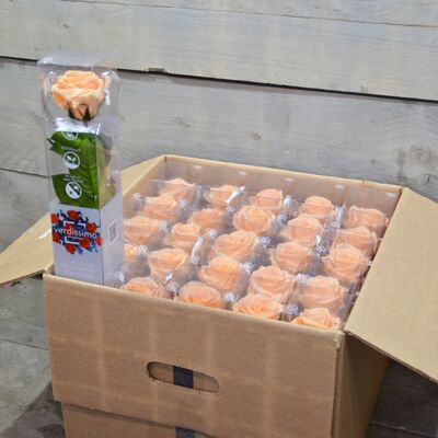 Βαλσαμωμένο "4ever"  τριαντάφυλλο σε "Διακοσμητική  Τσάντα".