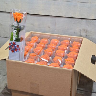 Βαλσαμωμένο "4ever"  τριαντάφυλλο σε "Διακοσμητική  Τσάντα".