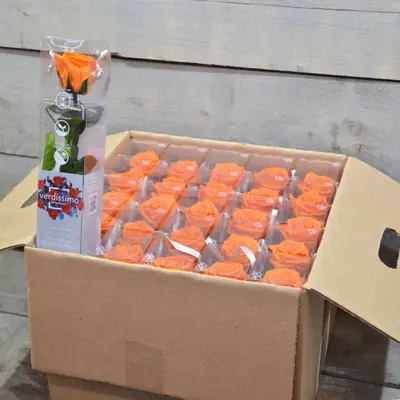Rose Preserved   in "Decorative Bag ".