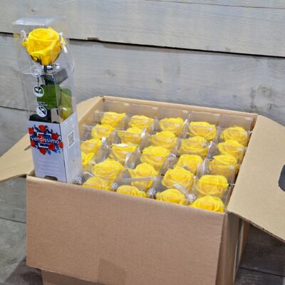 Βαλσαμωμένο "4ever"  τριαντάφυλλο σε "Διακοσμητική  Τσάντα".