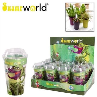 Φυτό σαρκοφάγο (διάφορες ποικιλίες/(3) φυτά σετ) σε γυάλινο βάζο ή κεραμικό ποτ με διακόσμηση !!! (Διωναία κ.α)