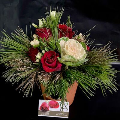 Christmas arrangement in pot with roses and assorted greens
