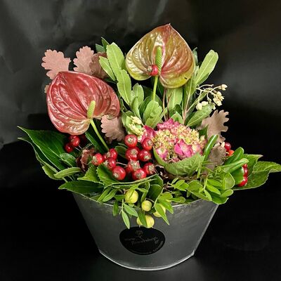 Anthuriums in metal pot