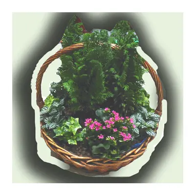 basketplants.gif