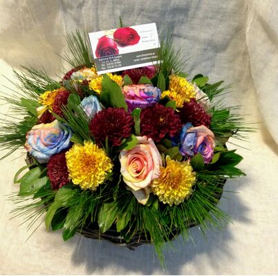 Roses "Rainbow" (special)