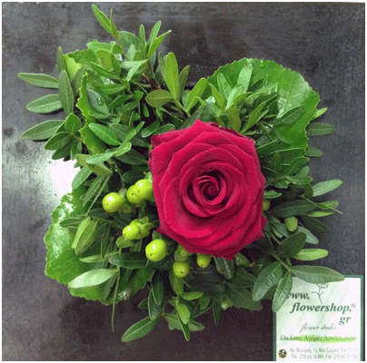 "ΈΝΑ" τριαντάφυλλο  σε βάζο ή ποτ