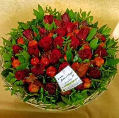 Roses & malus
