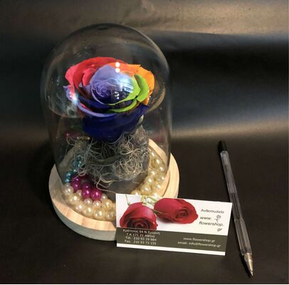 Ανθοπωλείο. (1) Βαλσαμωμένο "4ever" τριαντάφυλλο "Ουράνιο Τόξο" σε "Γυάλινο Θόλο" Διαμ 12εκ. χ 14εκ.