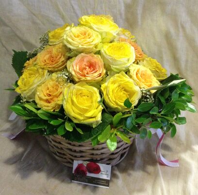 (21) yellow roses A' quality Dutch in basket with greens
