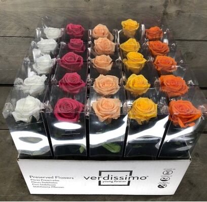 Βαλσαμωμένο "4ever"  τριαντάφυλλο σε "Διακοσμητική  Τσάντα".