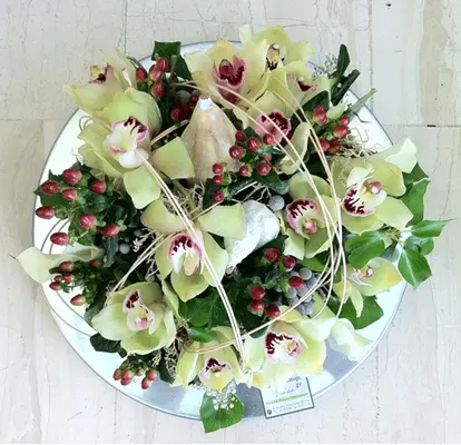 Cymbidium orchids "dancing"