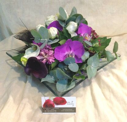 ορχιδέες βάντα φαλαινοψις