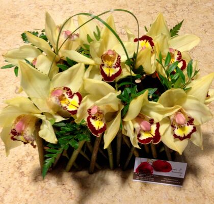 Μικρό και έξυπνο