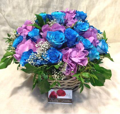 Blue Roses (21) stems exclusive in basket !!!