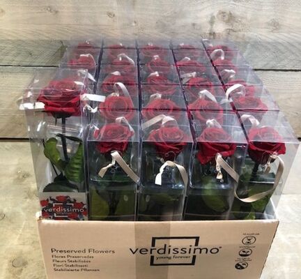 Τριαντάφυλλο Βαλσαμωμένο σε "Display Box 30cm"