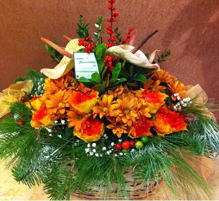 Christmas garden in basket