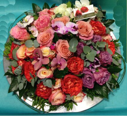 Cymbidium or Phalaenopsis orchids "dancing"(exclusive)