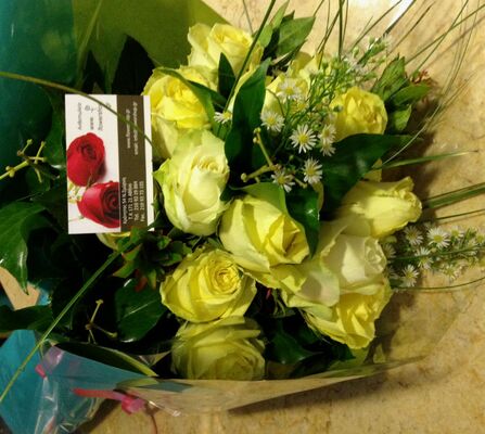 (20) white roses A' quality Dutch "Ice Bear" with greens gift wrapped.