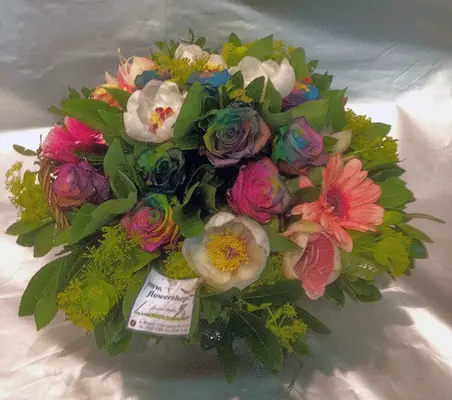 Roses "Rainbow"
