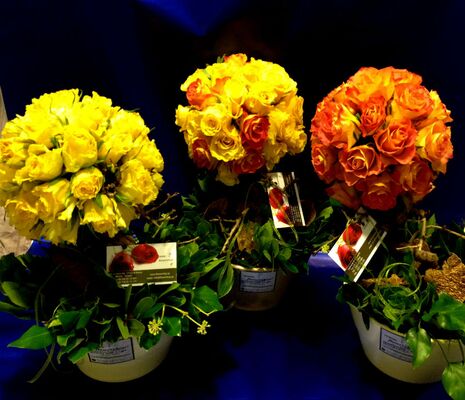 Μπάλα από τριαντάφυλλα (40) τεμ. σε κορμό Μπονσάι