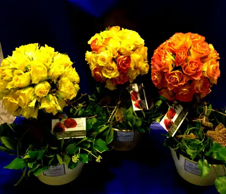 Rose Ball On Bonsai Dried Stem !!!