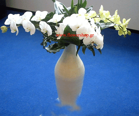 Phalaenopsis orchids in vase