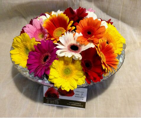 (20) Ζέρμινι - Ζέρμπερες Μπουκέτο + Βάζο