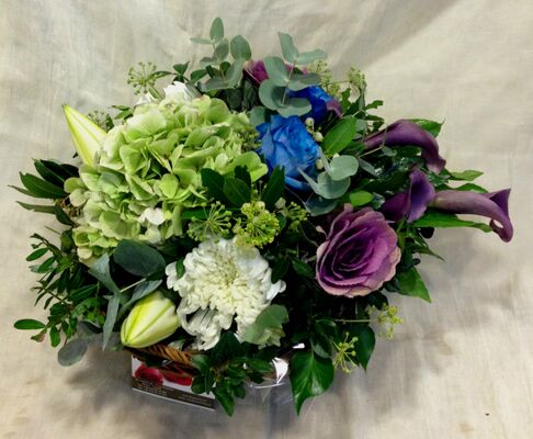 Arrangement  "Super Pack" for new born baby boy + X-large Balloon