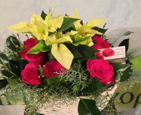 Christmas Mixed flowers & Poinsetias in  basket
