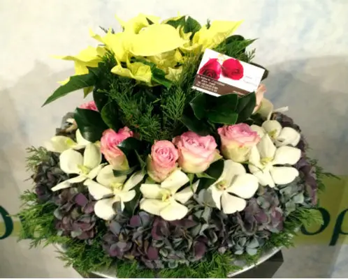 Christmas & New Year Celebrating Arrangements Flowers & Poinsetias