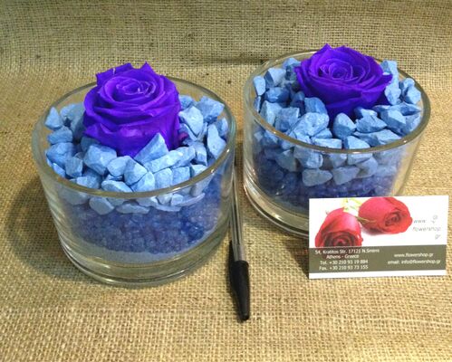 Rose Big Head (6cm)  (preserved) In Arrangement with decoration. Special (2) pieces.