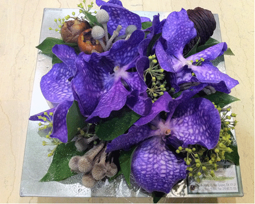 Arrangement with vanda orchids in zink tray