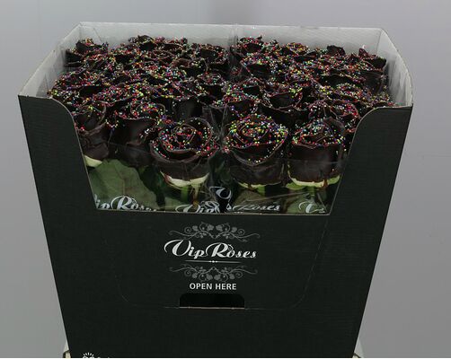 Exclusive "Chocolate Waxed"  Roses (10)p. In Vase Arrangement!!! NEW!!!