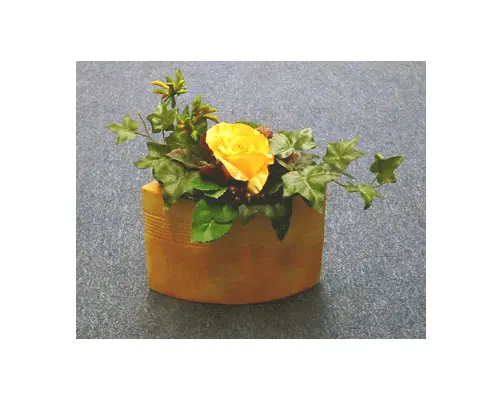 TICA12.gif