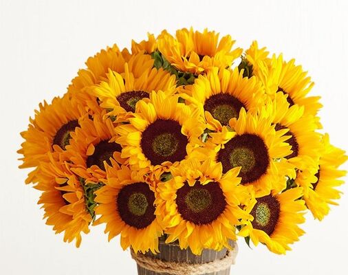 Μπουκέτο με ηλίανθους (21) τεμ. (μεσαίο μέγεθος διαμ. 8εκ. έκαστος) & πρασινάδες.