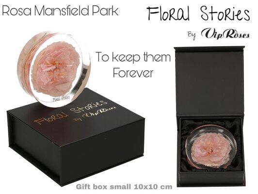 Vip Fossil Epoxy (1) Flower Rose Mansfield Park. Exclusive Gift Box.