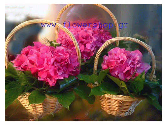 Baskets with hydrangeas or season flowers -  set of (3)