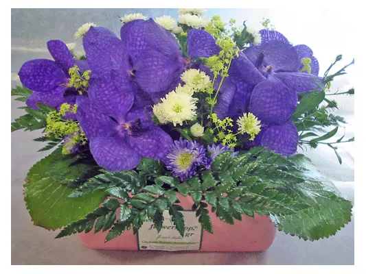 Arrangement with vanda orchids in "paper look" ceramic pot
