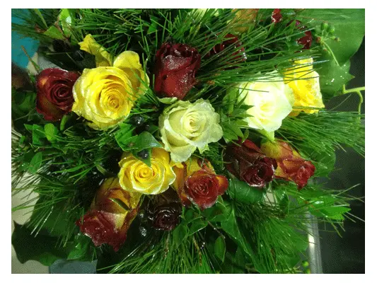 roses glittered