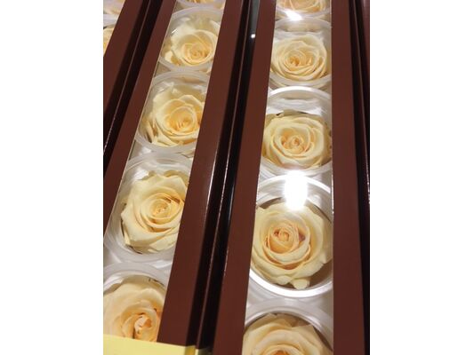 Rose Big Head (6cm)  (preserved) In Arrangement with decoration.