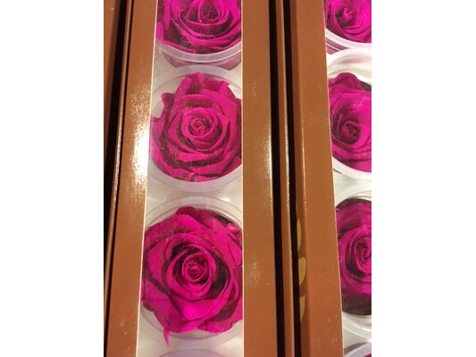 Rose Big Head (6cm)  (preserved) In Arrangement with decoration.