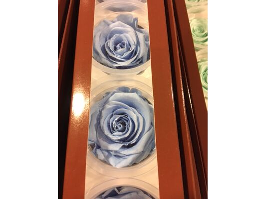 Rose Big Head (6cm)  (preserved) In Arrangement with decoration.