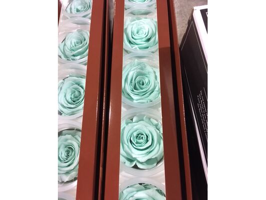 Rose Big Head (6cm)  (preserved) In Arrangement with decoration.