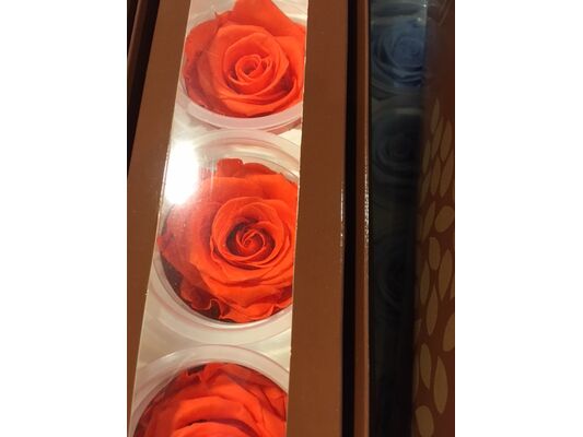 Rose Big Head (6cm)  (preserved) In Arrangement with decoration.