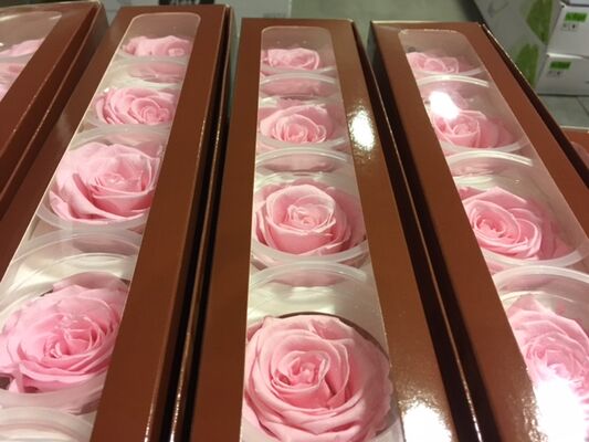 Rose Big Head (6cm)  (preserved) In Arrangement with decoration.