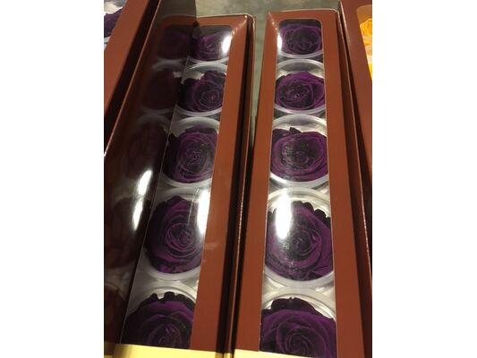 Rose Big Head (6cm)  (preserved) In Arrangement with decoration.