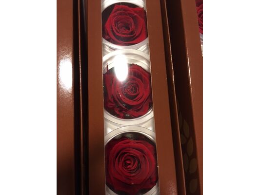 Rose Big Head (6cm)  (preserved) In Arrangement with decoration.