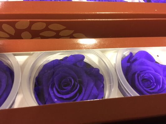 Rose Big Head (6cm)  (preserved) In Arrangement with decoration.