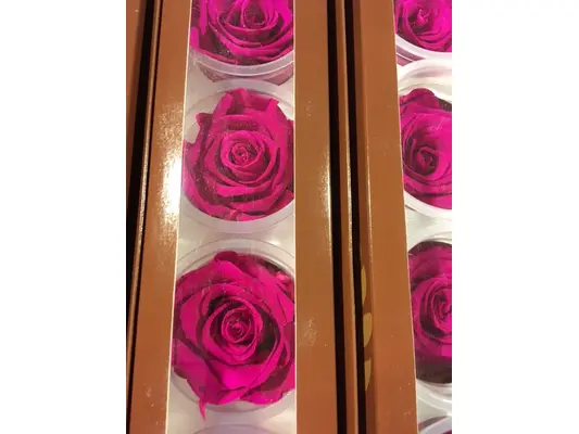 Rose Big Head (6cm)  (preserved) In Arrangement with decoration.