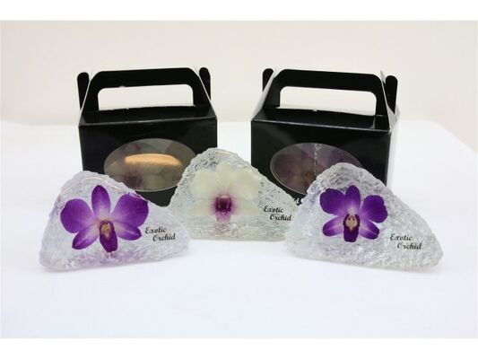 Exclusive Dendrobium Orchid Flower In Crystal !!! New!!!